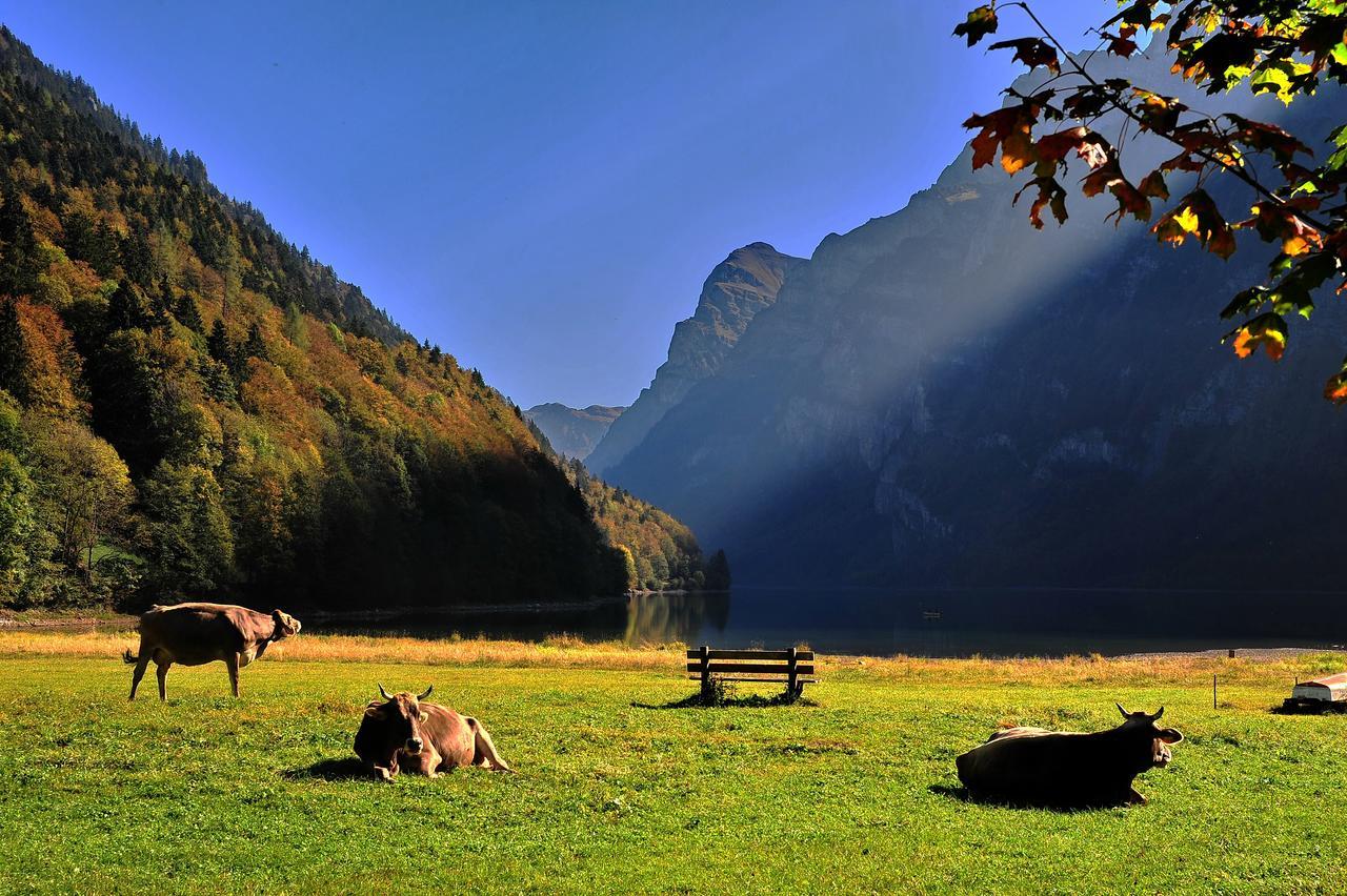 Hotel Freihof Glarus Exterior photo